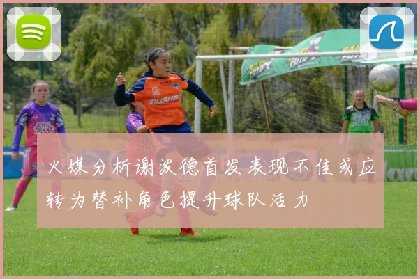 火媒分析谢泼德首发表现不佳或应转为替补角色提升球队活力