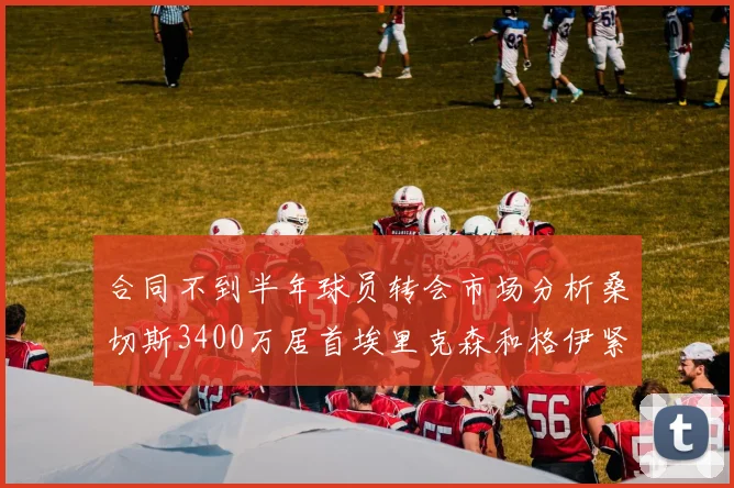 合同不到半年球员转会市场分析桑切斯3400万居首埃里克森和格伊紧随其后