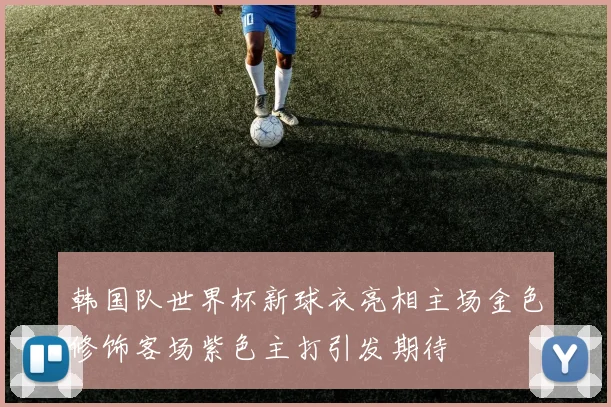 韩国队世界杯新球衣亮相主场金色修饰客场紫色主打引发期待
